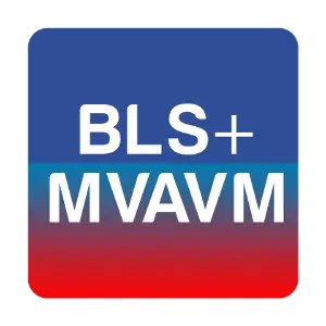 Cursos Combinados BLS + MVAVM