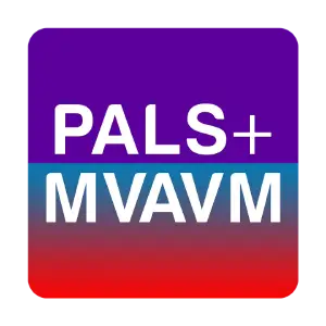 Cursos Combinados PALS + MVAVM